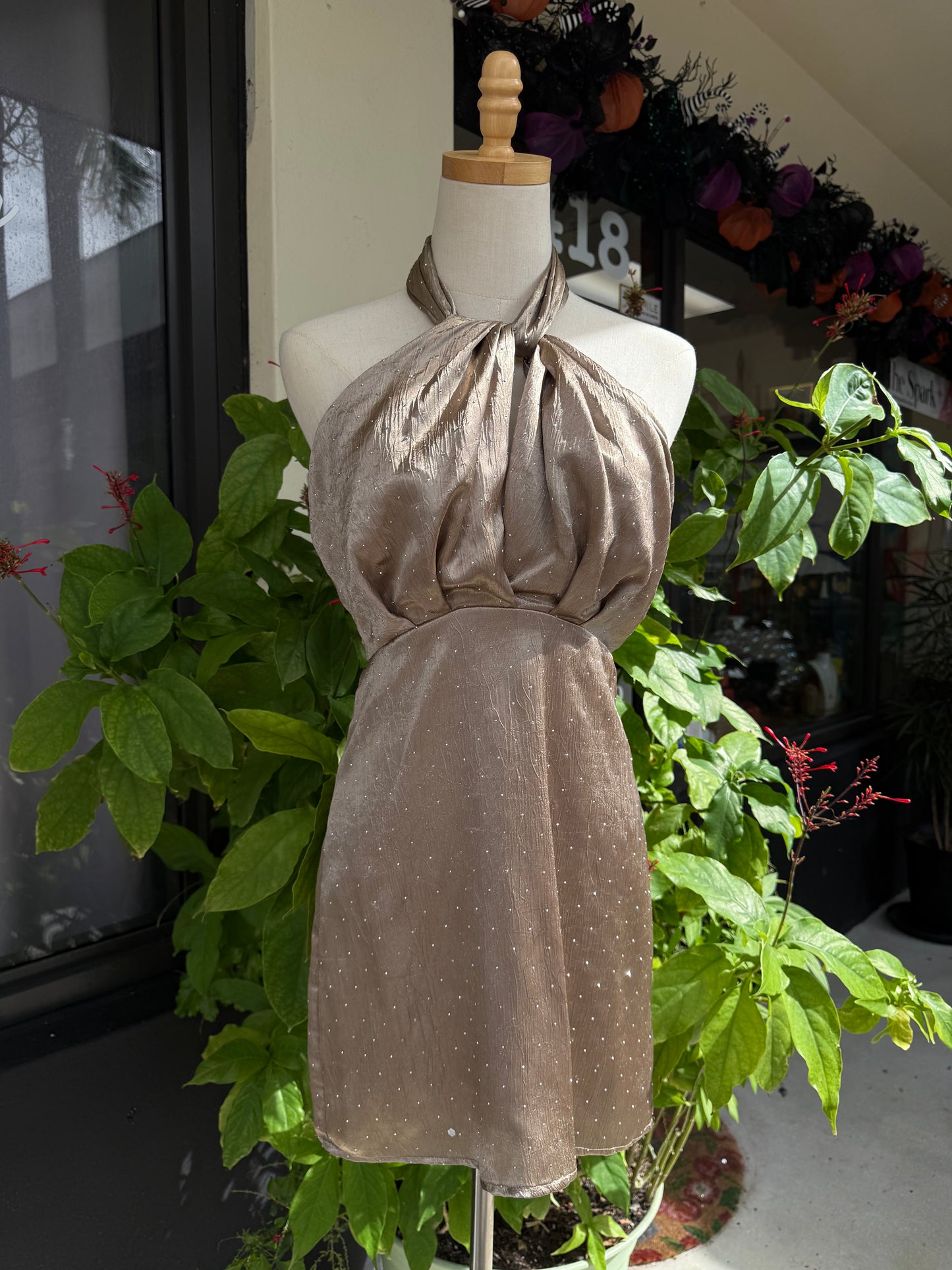 Felicity Embellished Mink Satin Dress