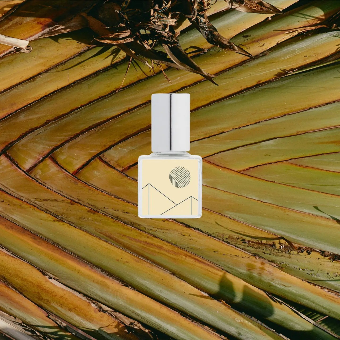 Perfume bottle with a palm leaf background Kelly + Jones Mezcal Blanca perfume oil packaging on a white background. a staple for curated boutique fashion and chic affordable style available at your Womens Boutique West Palm Beach, FL.