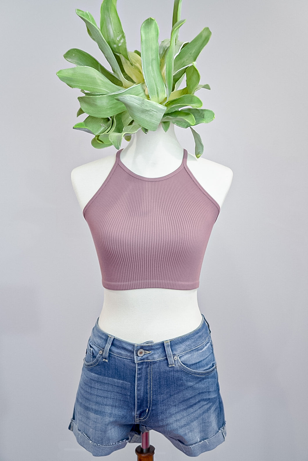 Rita Seamless Halter Neck Top