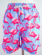Load image into Gallery viewer, Mister Flamingo

