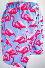 Load image into Gallery viewer, Mister Flamingo
